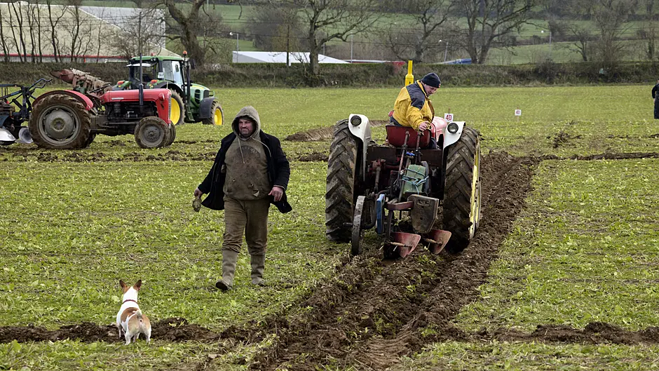 Large crowds due at 85th annual Timoleague ploughing match Image