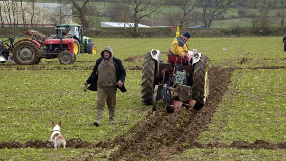 Large crowds due at 85th annual Timoleague ploughing match Image