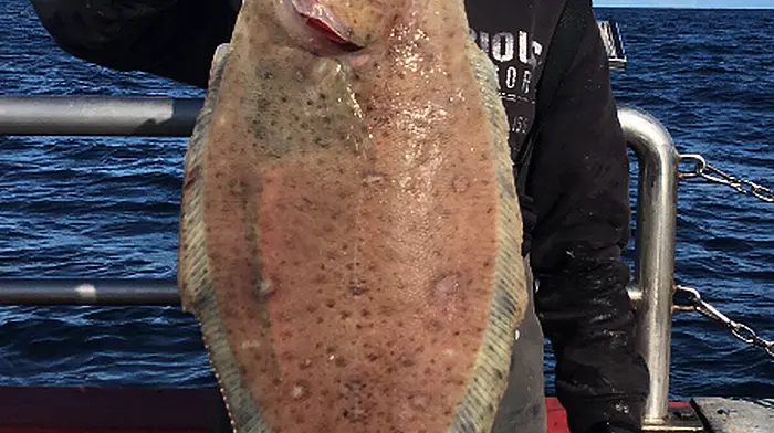 Evan lands a major haul in Union Hall Image