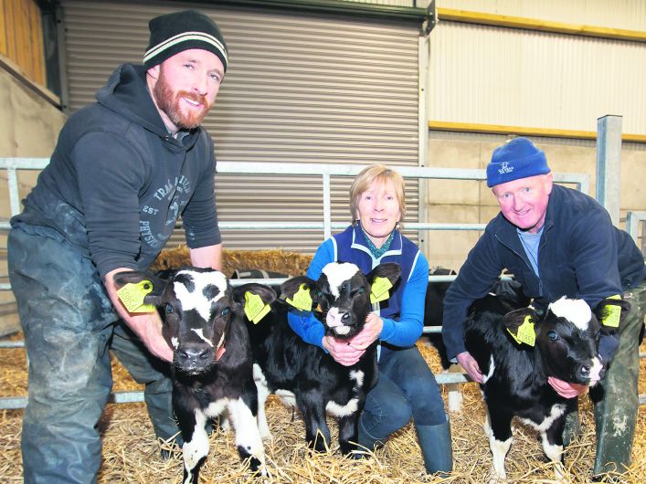 Ger’s luxury Old Head calf shed is really filling up fast! Image