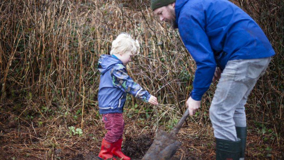 Free trees available in Cork for Tree Week Image