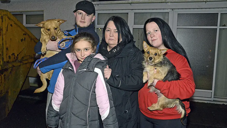 Solution to our housing crisis ‘staring us in face’, says TD Image