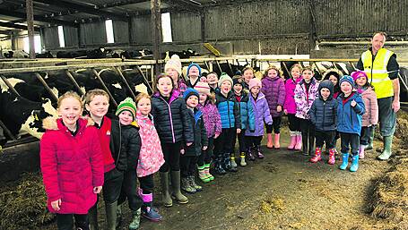 Fun on the farm for Kilcolman kids Image