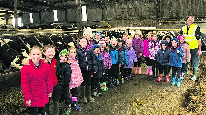 Fun on the farm for Kilcolman kids Image