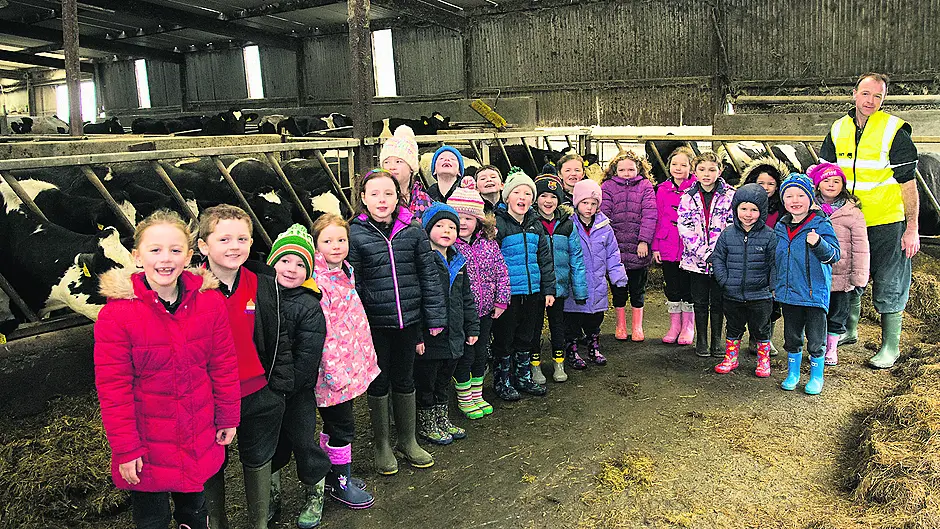 Fun on the farm for Kilcolman kids Image