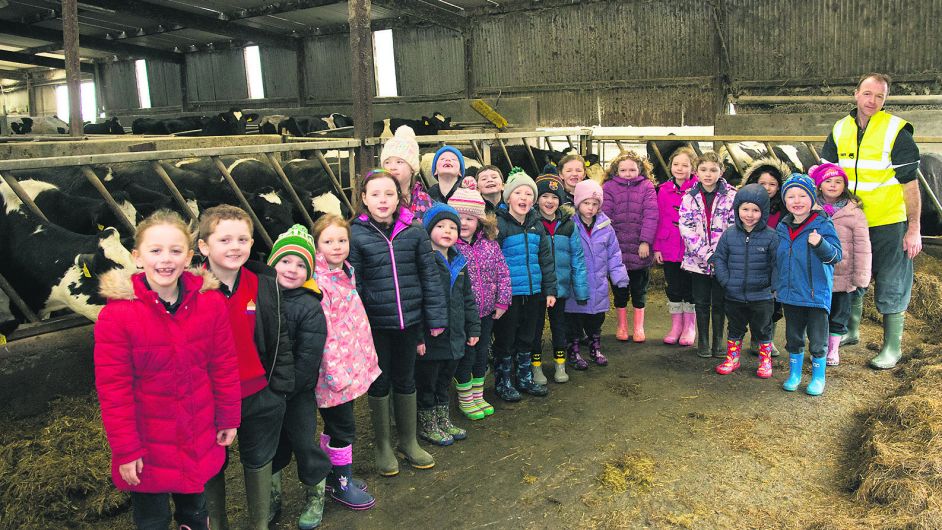 The Kilcolman pupils with Owen O’Brien on their visit. 						(Photo: Martin Walsh)