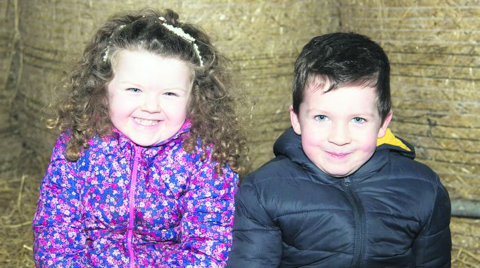 Junior infants Amy O’Brien and Colm Buckley from Kilcolman National School were the youngest pupils on the visit to the O’Brien family farm at Cashel Beg, near Gaggan, Bandon;