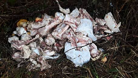 Butcher’s waste left dumped on side of Skibbereen road Image