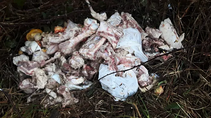 Butcher’s waste left dumped on side of Skibbereen road Image