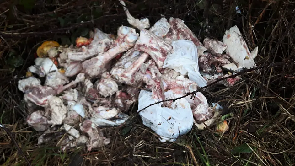 Butcher’s waste left dumped on side of Skibbereen road Image