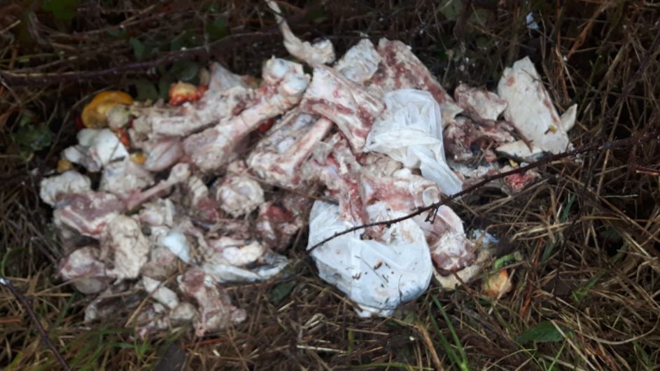 Butcher’s waste left dumped on side of Skibbereen road Image