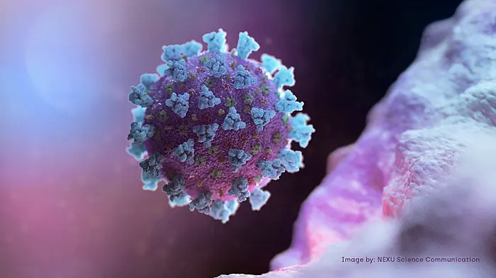 Coronavirus confirmed in Ireland Image