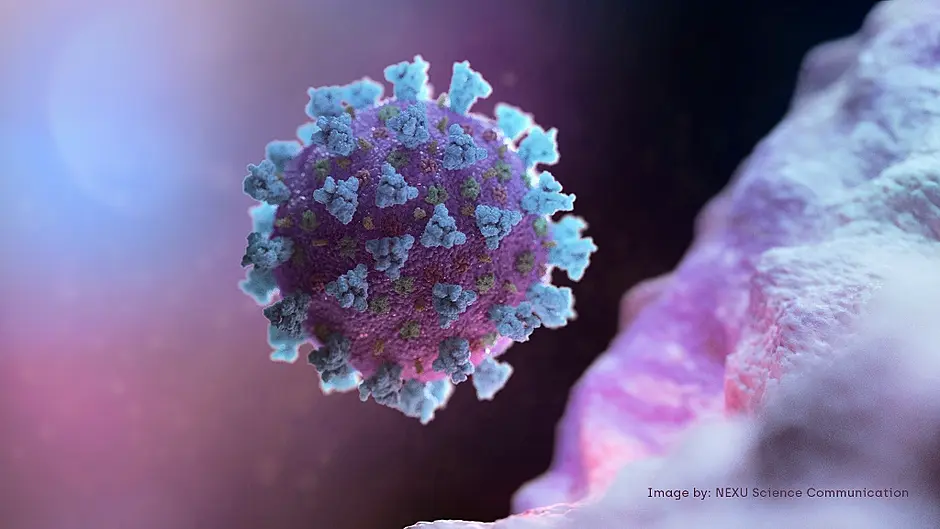 Coronavirus confirmed in Ireland Image