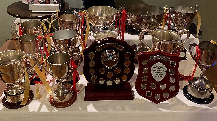 Newcestown GAA's impressive trophy collection is the envy of all Image