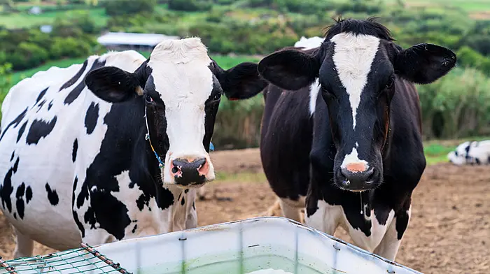 Everything farmers need to know about their current position & Covid-19 Image