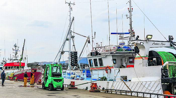 Fishermen stay resilient despite returning to port Image