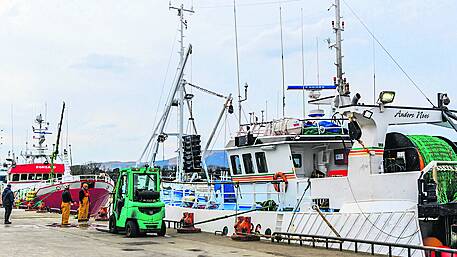 Fishermen stay resilient despite returning to port Image