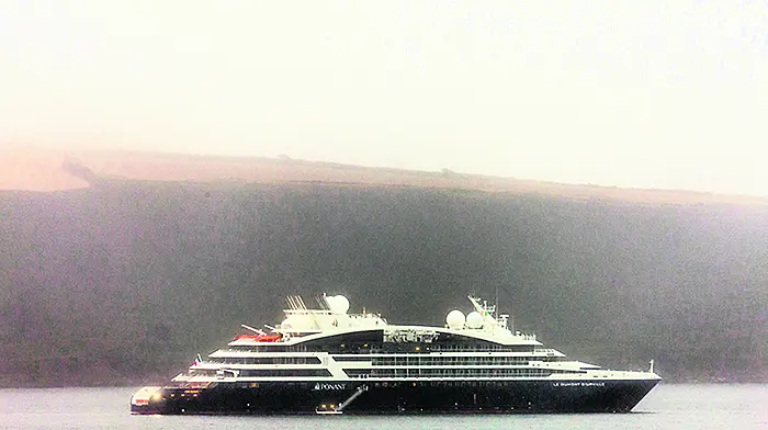 All cruise liner visits ‘temporarily suspended’ Image