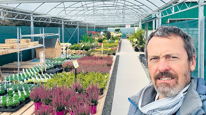 Garden centre expanding with a Covid-friendly outdoor sales area Image