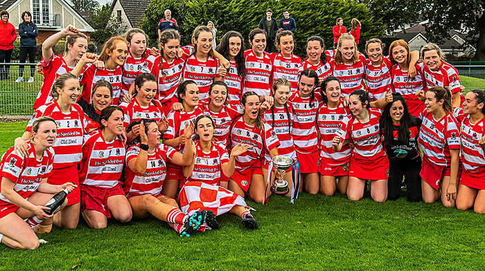 Courcey Rovers hit the top spot in Cork camogie after a magical season Image