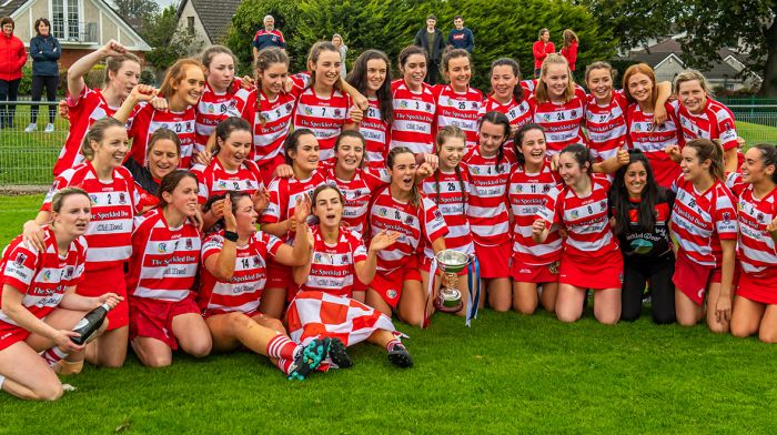 Terrific year for Courceys in spite of Munster championship defeat Image