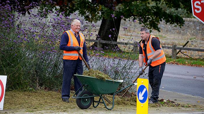 Tidy Towns groups should be honoured online Image