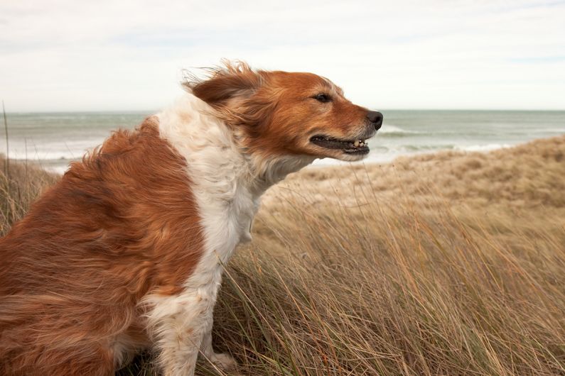 Storm Aiden brings Status Orange wind warning; Council issues flood alert for Bantry Image