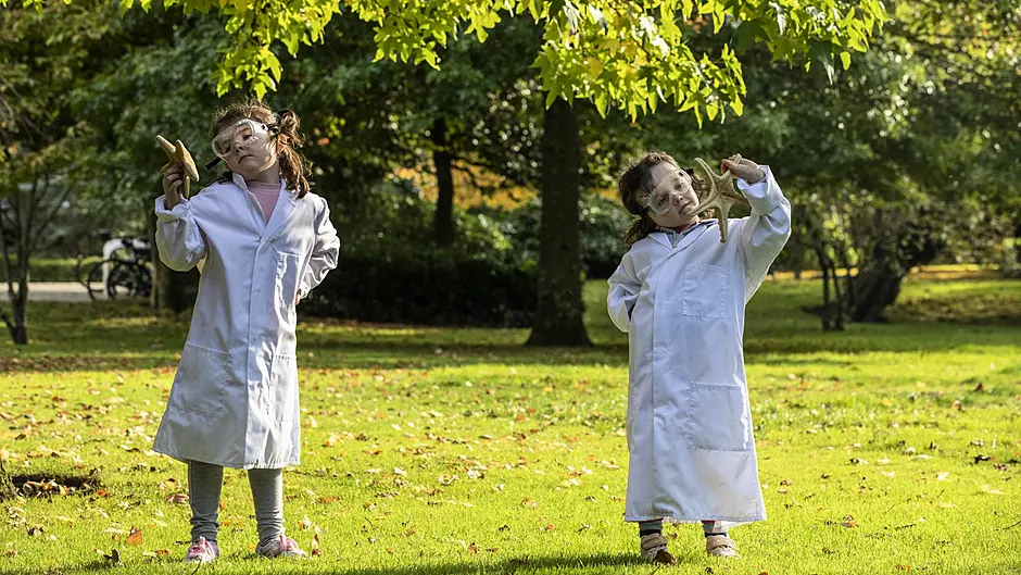 Lots to see at this year's online Cork Science Festival Image