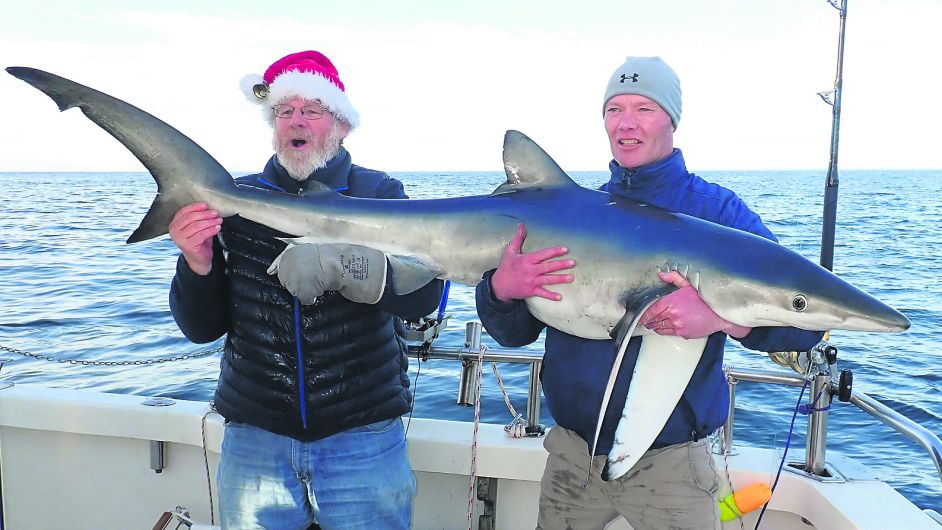 David breaks Irish record with December catching of blue shark off Courtmac Image