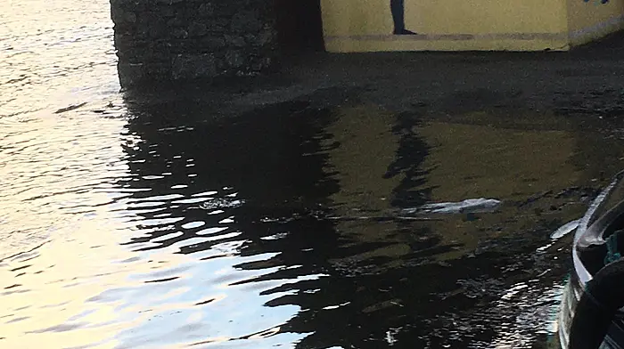 Wind and sea surge warnings issued for coastal areas Image