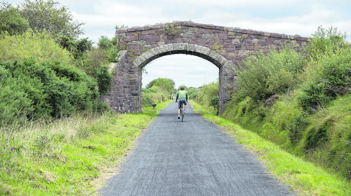Skibbereen to Baltimore cycle trail put in motion Image