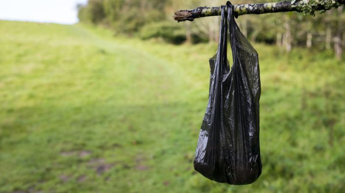 Dog fouling is ‘getting worse’ Image