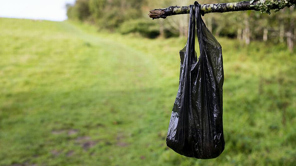 Dog fouling is ‘getting worse’ Image