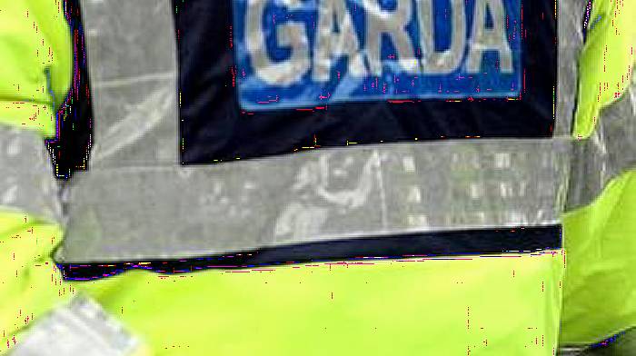 Man in his 20s dies following accident at Garrettstown Image