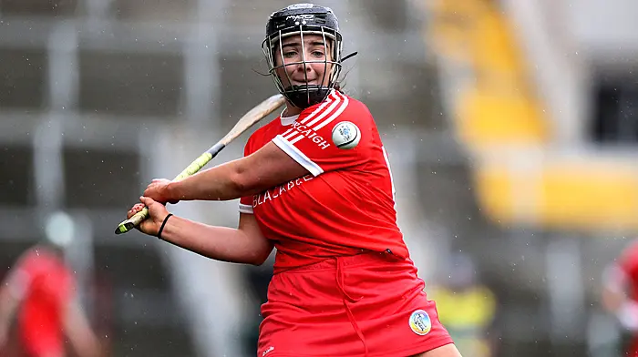 CAMOGIE PREVIEW: Ger McCarthy profiles Cork and their National League opponents Image