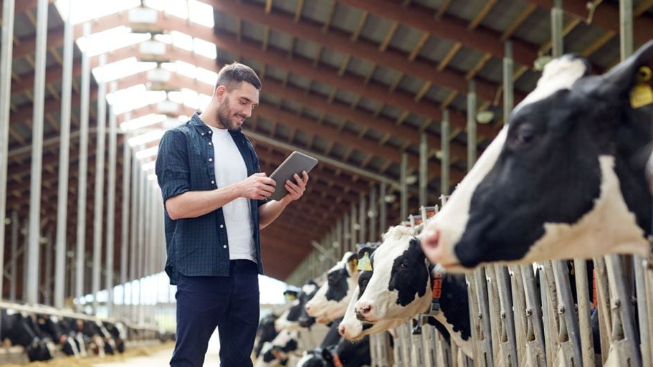 Survey finds majority of farmers in favour of mart sales online Image