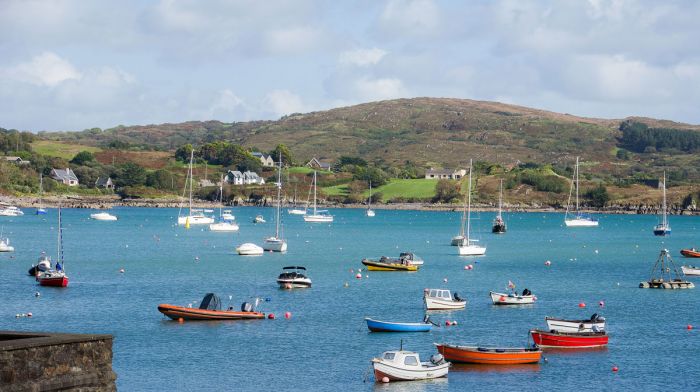 Support sought to build 12 new houses for the elderly in Schull Image