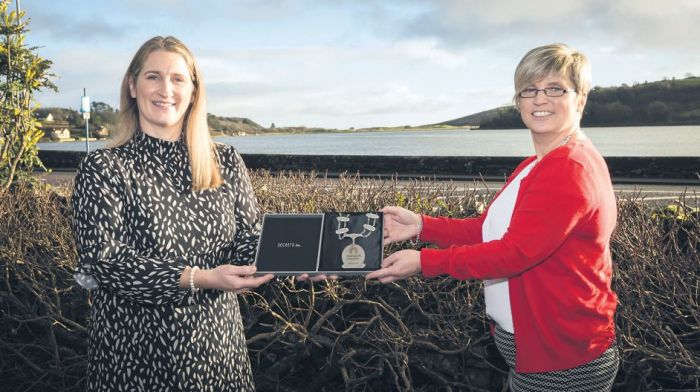 Finalists announced for Network Ireland West Cork’s awards Image