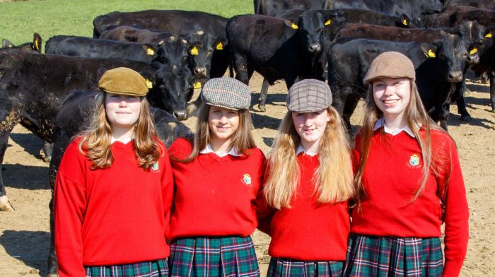 Sacred Heart! Students get ag science back on the Leaving Cert curriculum Image