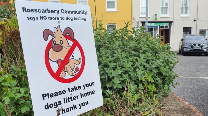 Free poo bags offered to encourage owners to clean up their dog’s mess Image