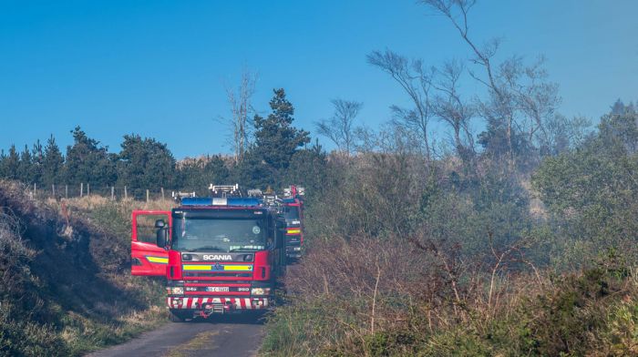 Firefighters tackle 12 hill fires in just three days Image