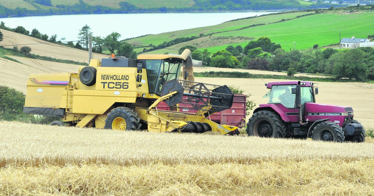 The Case Ih 71 It S A Magnum Of Muscle Southern Star