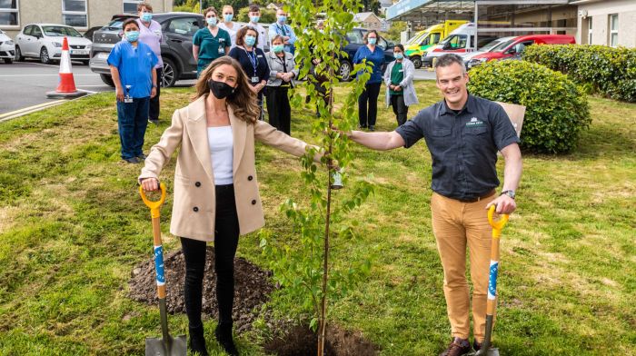 Woodlands planted in honour of nurses Image