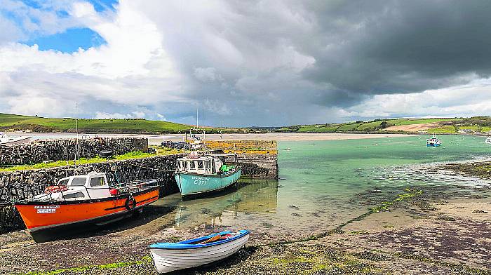 Residents voice concern over plans for oyster farm in Clonakilty Bay Image