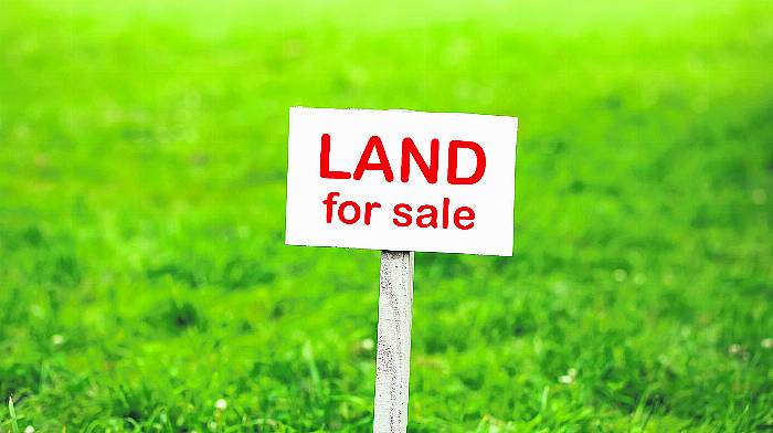 Average price for an acre of ‘good’  Co Cork land last year was €11,100 Image