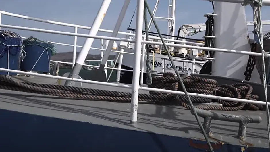 WATCH: Fisherman's wife Catherine Turner speaks up for Irish fishing families Image