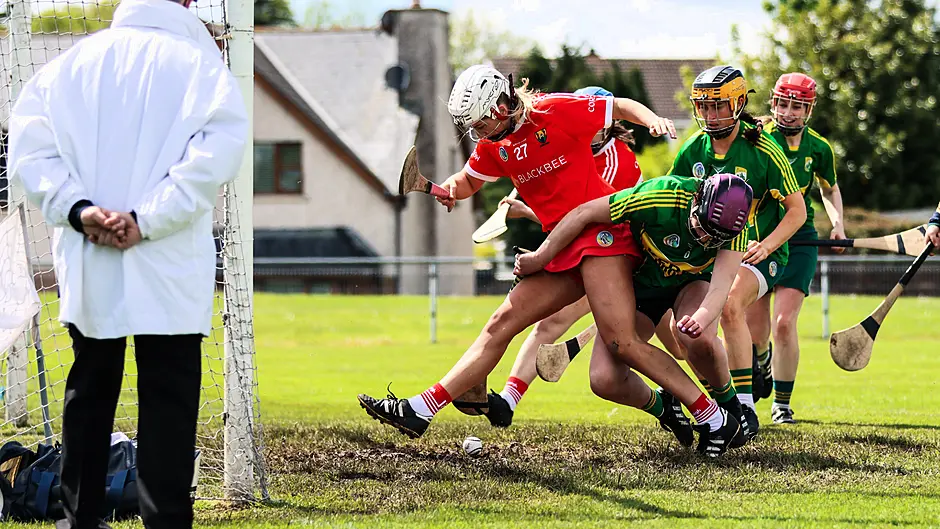 Cork star Ali lands knockout blow against Kerry Image