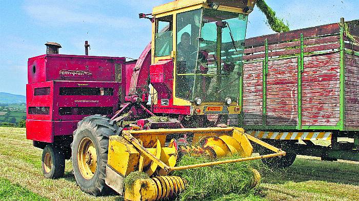 A silage stalwart: the NH 1890 CropCruiser Image