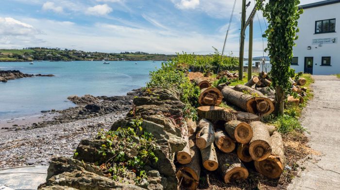 ‘We didn’t fell 50-year old Schull trees’ insist site neighbours Image