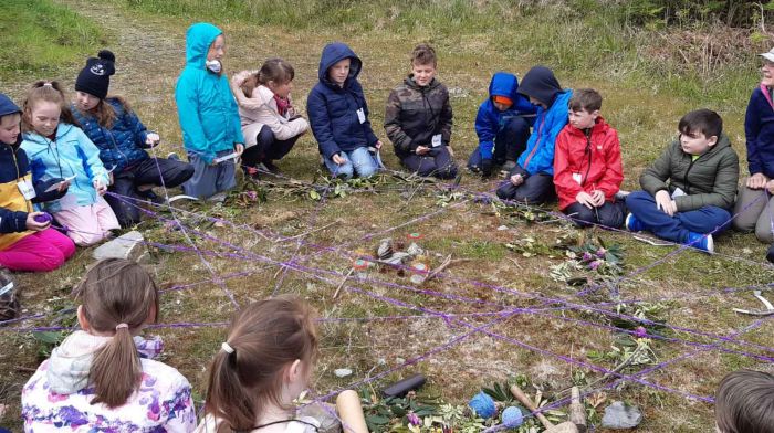 Forest School helps Beara children to grow with nature Image